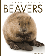 Beavers