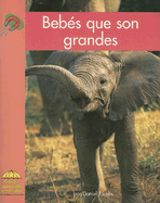 Bebes Que Son Grandes - Jacobs, Daniel