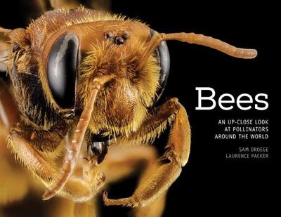 Bees: An Up-Close Look at Pollinators Around the World - Droege, Sam, and Packer, Laurence