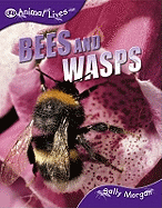 Bees and Wasps