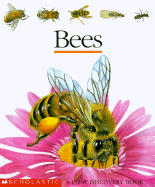Bees - Scholastic Books, and Sautai, Raoul, and Delafosse, Claude