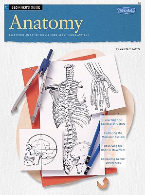 Beginner's Guide: Anatomy - Foster, Walter T