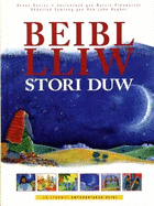 Beibl Lliw Stori Duw