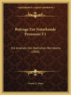 Beitrage Zur Naturkunde Preussens V1: Die Ameisen Des Baltischen Bernsteins (1868)