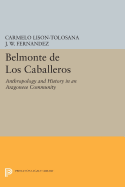 Belmonte De Los Caballeros: Anthropology and History in an Aragonese Community