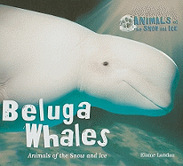 Beluga Whales