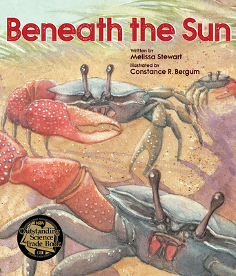 Beneath the Sun - Stewart, Melissa