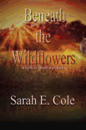Beneath the Wildflowers: a book of shorts and poems