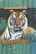 Bengal Tigers - Steele, Christy