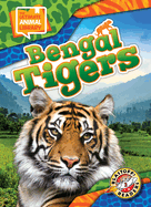 Bengal Tigers