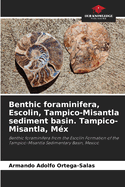 Benthic foraminifera, Escolin, Tampico-Misantla sediment basin. Tampico-Misantla, M?x