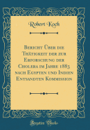 Bericht ber Die Thtigkeit Der Zur Erforschung Der Cholera Im Jahre 1883 Nach Egypten Und Indien Entsandten Kommission (Classic Reprint)