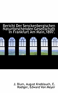 Bericht Der Senckenbergischen Naturforschenden Gesellschaft in Frankfurt Am Main, 1897: Vom Juni 1896 Bis Juni 1897 (Classic Reprint)
