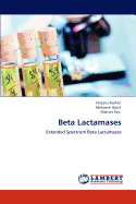 Beta Lactamases