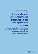 Betriebliche Und Unternehmerische Dimensionen Des Demografischen Wandels: Kleine Und Mittlere Unternehmen in Sachsen-Anhalt Im Spannungsfeld Von Fachkraeftemangel Und Neuen Absatzpotenzialen