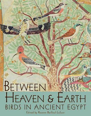 Between Heaven and Earth: Birds in Ancient Egypt - Bailleul-Lesuer, Rozenn (Editor)