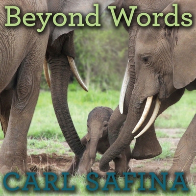 Beyond Words: What Animals Think and Feel - Safina, Carl (Read by)