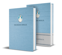 Biblia Cat?lica En Espa±ol. Tapa Dura Azul, Con Virgen Milagrosa En Cubierta / Catholic Bible. Spanish-Language, Hardcover, Blue, Compact