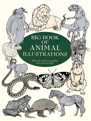 Big Book of Animal Illustrations - Kate, Maggie (Editor)