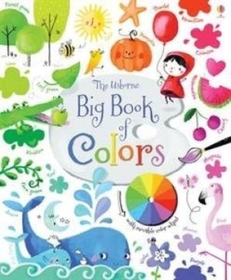 Big Book of Colors - Brooks, Felicity