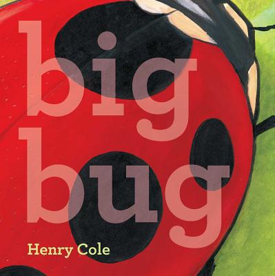 Big Bug - 