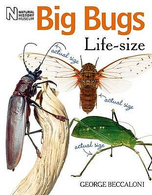 Big Bugs Life-Size - Beccaloni, George