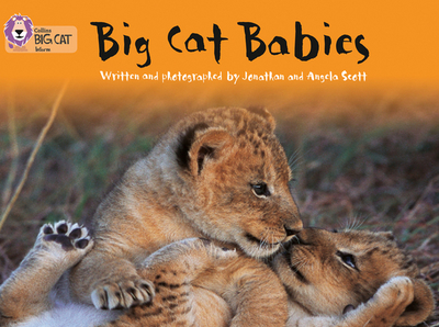 Big Cat Babies: Band 05/Green - Moon, Cliff (Series edited by), and Collins Big Cat (Prepared for publication by)