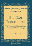 Big Dam Foolishness: The Problem of Modern Flood Control and Water Storage (Classic Reprint)