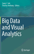 Big Data and Visual Analytics