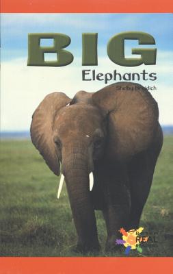 Big Elephants - Braidich, Shelby