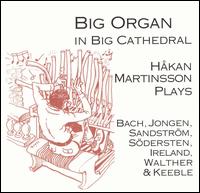 Big Organ in Big Cathedral - Hkan Martinsson (organ)
