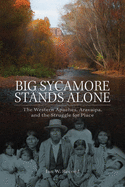Big Sycamore Stands Alone: The Western Apaches, Aravaipa, and the Struggle for Place