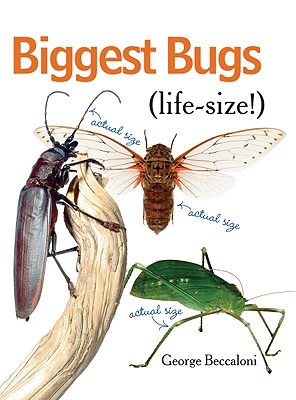 Biggest Bugs Life-Size - Beccaloni, George