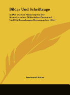 Bilder Und Schriftzuge: In Den Irischen Manuscripten Der Schweizerischen Bibliotheken Gesammelt Und Mit Bemerkungen Herausgegeben (1851)