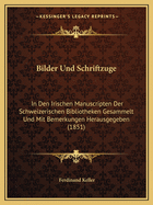 Bilder Und Schriftzuge: In Den Irischen Manuscripten Der Schweizerischen Bibliotheken Gesammelt Und Mit Bemerkungen Herausgegeben (1851)