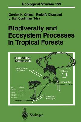 Biodiversity and Ecosystem Processes in Tropical Forests - Orians, Gordon H (Editor), and Dirzo, Rodolfo (Editor), and Cushman, J Hall (Editor)