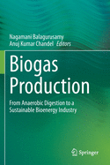 Biogas Production: From Anaerobic Digestion to a Sustainable Bioenergy Industry