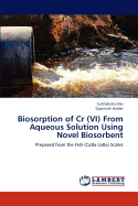 Biosorption of Cr (VI) from Aqueous Solution Using Novel Biosorbent