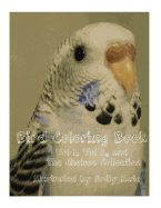 Bird Coloring Book: Vol 1, Vol 2, and "The Chelsea Collection"