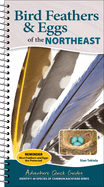 Bird Feathers & Eggs of the Northeast: Identify 40 Species of Common Backyard Birds