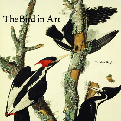Bird in Art - Bugler, Caroline