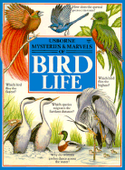 Bird Life