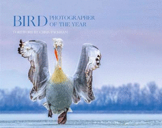 Bird Photographer of the Year: Collection 4