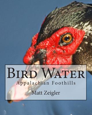 Bird Water: Appalachian Foothills - Zeigler, Matt