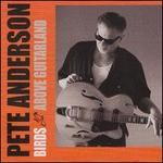 Birds Above Guitarland - Pete Anderson