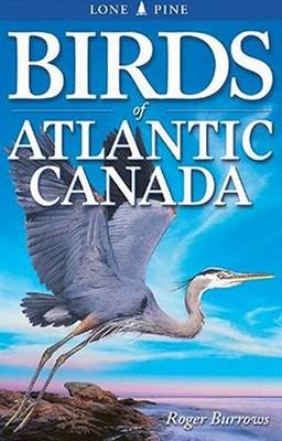 Birds of Atlantic Canada - Burrows, Roger