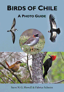 Birds of Chile: A Photo Guide