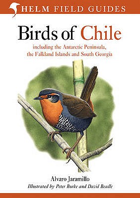 Birds of Chile - Jaramillo, Alvaro