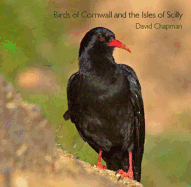 Birds of Cornwall and the Isles of Scilly