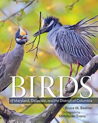 Birds of Maryland, Delaware, and the District of Columbia - Beehler, Bruce M, and Evans, Middleton (Photographer), and Robbins, Chandler S (Foreword by)